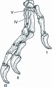 Abb. 3