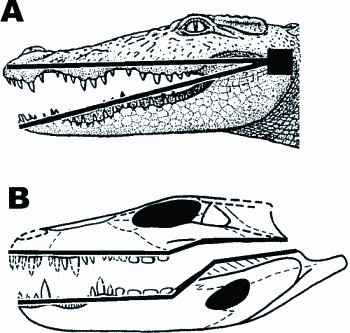 Abb. 4