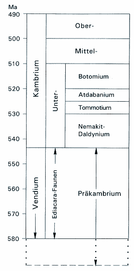 Abb. 1