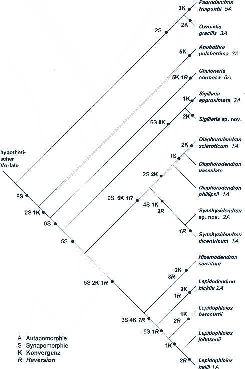 Abb. 2