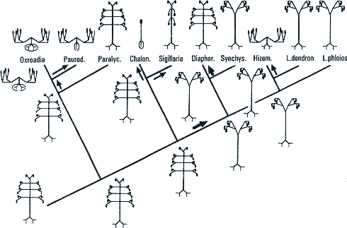 Abb. 3