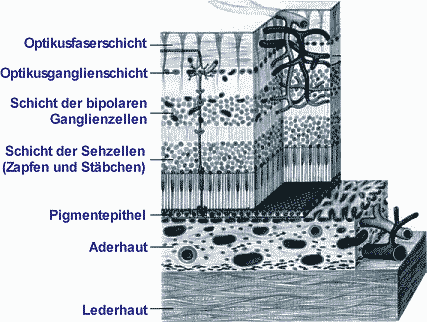 Abb. 3