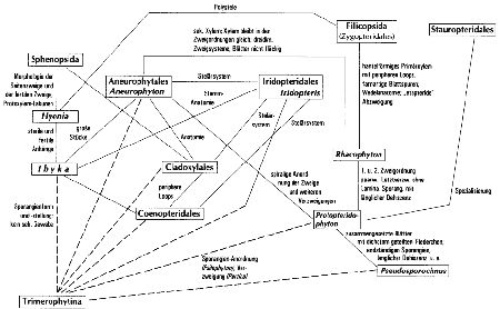 Klicken Sie auf das Bild um die Grafik gross zu sehen